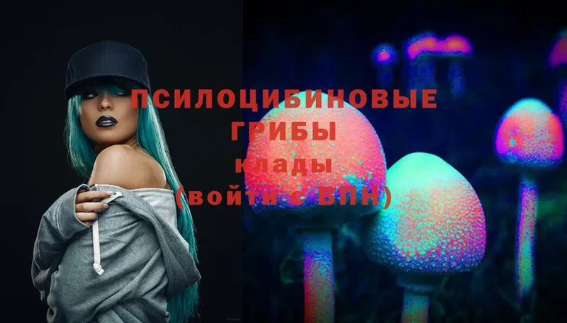 Галлюциногенные грибы MAGIC MUSHROOMS  Каменск-Шахтинский 